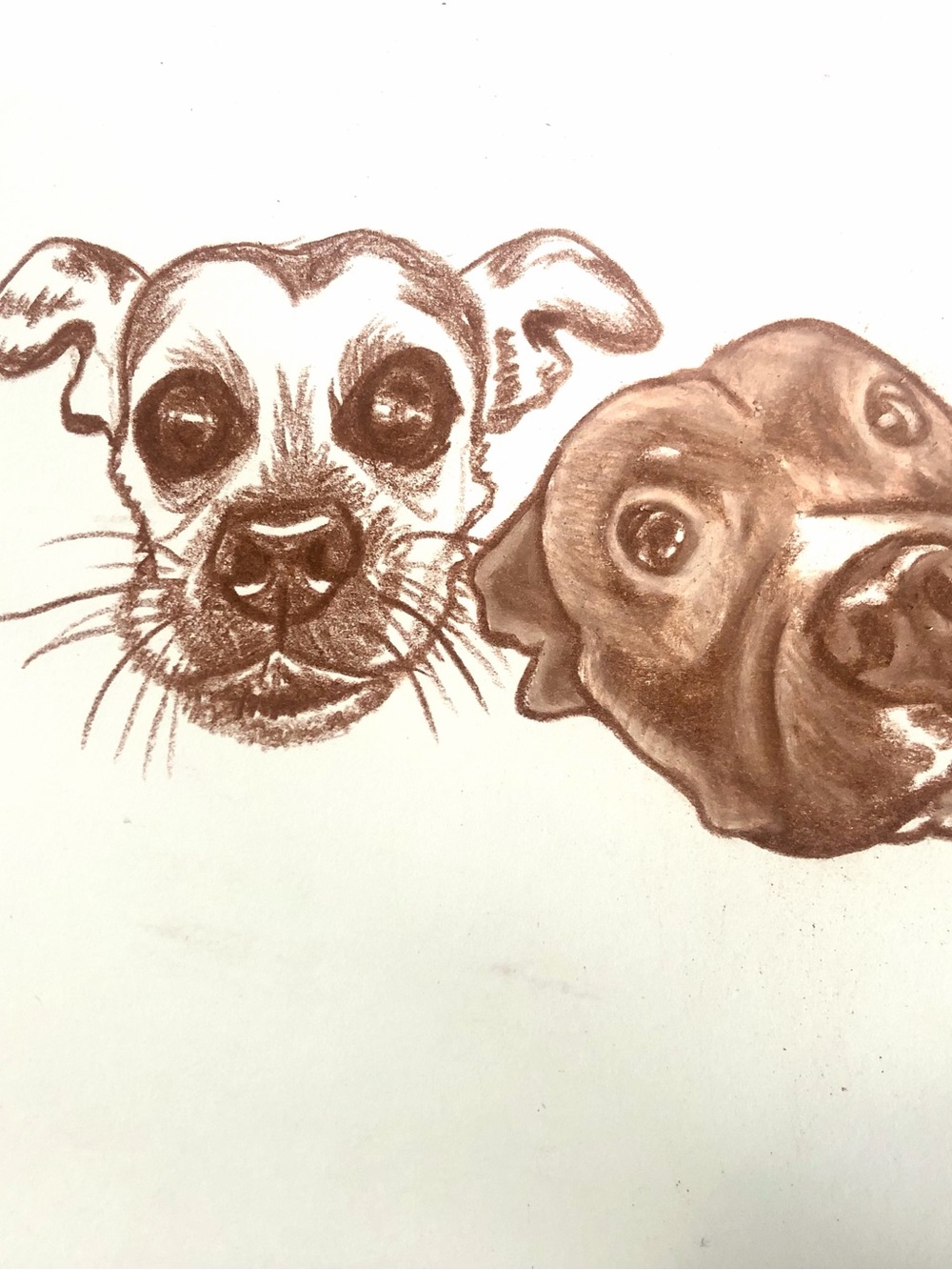 🎨 CUSTOM Pet Portraits | Hand Drawn from Your Photo | Memorial & Gift Artwork - Picture 8 of 8